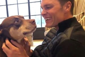 Tom Brady clonó a su perra: cuánto cuesta todo el proceso