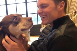 Tom Brady clonó a su perra: cuánto cuesta todo el proceso