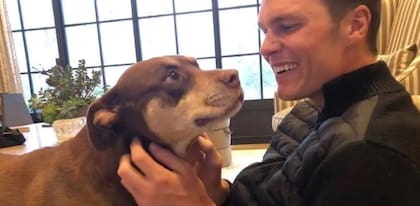 Tom y Lua, la perra que clonó