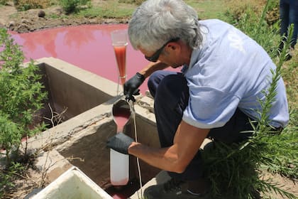 Toma de muestras de los efluentes vertidos en el río Salado