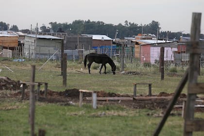 Toma de tierras en la localidad de Los Hornos, en La Plata