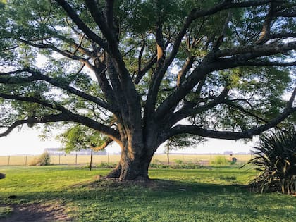 Tomar conciencia sobre la naturaleza y sus beneficios