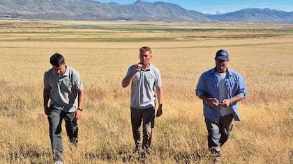 Tomás Ciurlanti, Nicolás Zuber y Ricardo Coggiola los fundadores de AgroCalafate que buscan entrar en la historia del campo de Santa Cruz