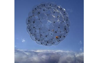 Bienal antártica. A orillas del fin del mundo