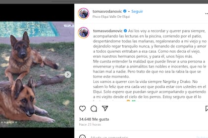 Tomás Vodanovic denunció este domingo la muerte de sus perros por envenenamiento