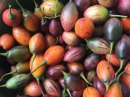 Tomate de árbol o chilto, fruto nativo de la Argentina, comestible. Posee un sabor agridulce, único y refrescante