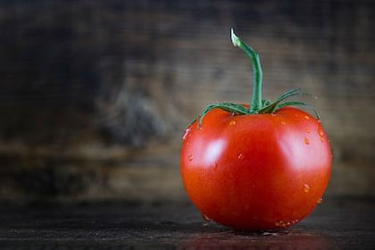 El kilo de tomate redondo cayó 21,2% respecto de mayo