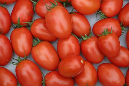 Tomates peritas (Pixabay)