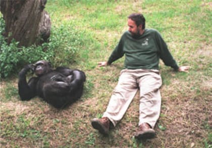 Tomy y su cuidador, Martín Davids, dentro del recinto destinado a los chimpancés del Zoo de La Plata