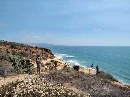 Torrey Pines, reserva natural y balcón al mar.