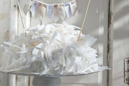 Torta de coco y dulce de leche