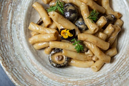 Tortiglioni con crema de hongos