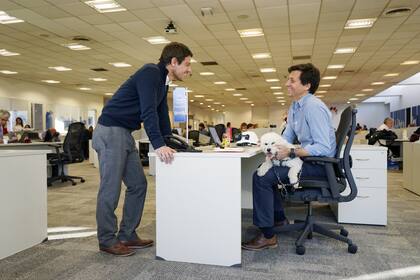 Toto, en una jornada de trabajo de su dueño Mariano Casco, en las oficinas de Mars