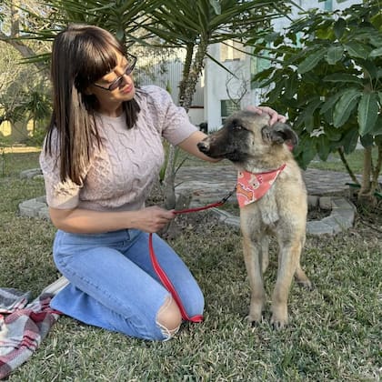 Toto pasó de ser invisible a convertirse en un hermoso perro peludo.