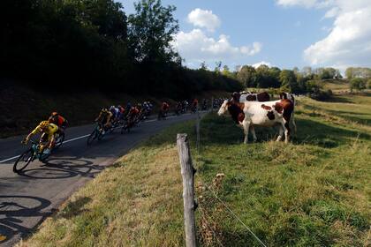 El Tour de Francia, entre la velocidad de los ciclistas y la particularidad del contexto en el que se corre