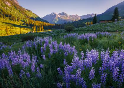Town of Gothic and Mount Bellview - Crested Butte