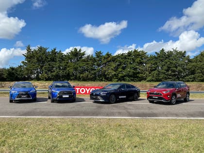 Toyota cuenta con el 85% del total de los vehículos electrificados patentados en el país.