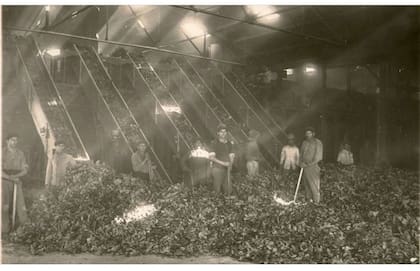 Trabajadores de la yerba mate en el antiguo secadero.