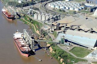 Covid-19. Preocupan las nuevas barreras a la exportación de alimentos