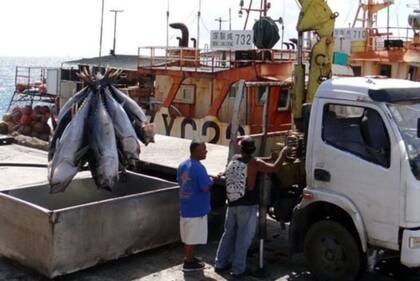 Trabajadores descargan atún de un barco de pesca en Majuro para su exportación a los mercados internacionales.