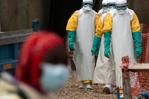 La OMS declaró la emergencia de salud pública internacional por un brote de ébola en África