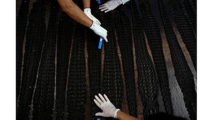 Trabajadores preparan pieles de cocodrilo teñidas en la granja de cocodrilos Sriracha