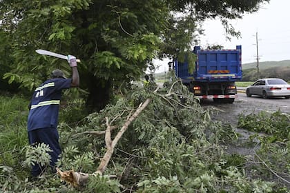 Trabajadores retiran ramas de árboles derribados por el huracán Beryl en Kingston, Jamaica, el jueves 4 de julio de 2024