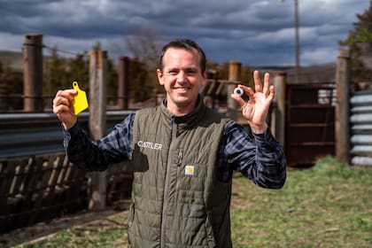 Trabajan con cerca de 500 feedlots