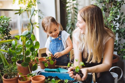 Trabajar en un invernadero, transplantar, sembrar. Que los niños puedan tocar la tierra y ver el valor de tener paciencia y esperar los procesos.