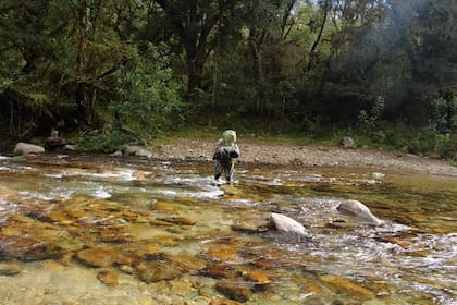 Trabajo de campo del equipo.