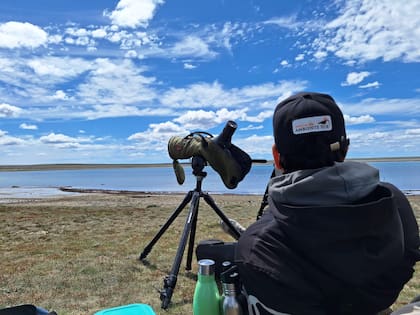 Trabajo de campo en la estancia Carlota
