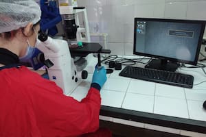 La desesperada iniciativa del Hospital Roffo para conseguir fondos