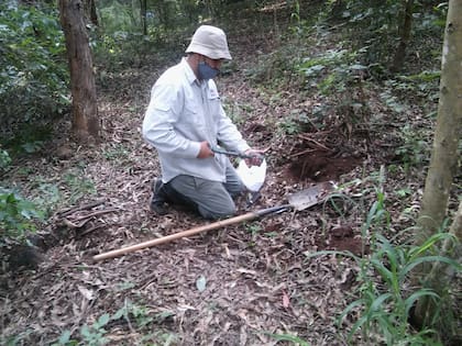 Trabajo en las yungas