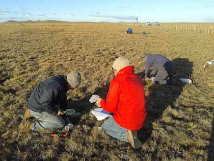 Trabajo en los campos de Santa Cruz para relevar el estado del suelo y el futuro de los pastizales
