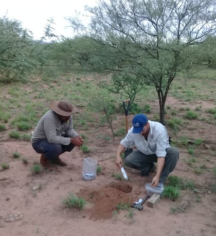 Trabajos en suelo del equipo interdisciplinario del INTA, Conicet, Aapresid y la Secretaría de Agricultura, Ganadería y Pesca, entre otros