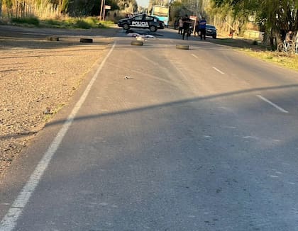 Tragedia en Mendoza: dos hermanas de 7 y 10 años murieron atropelladas tras descender de un colectivo cuando regresaban de la escuela.