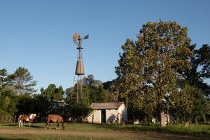 Tragedia fatal en Mar del Plata: subió a un molino para hacer arreglos, pero se resbaló y cayó ocho metros