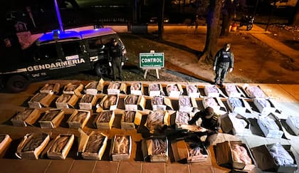 Transportaban sábalo sin respetar la cadena de frío y quedó a disposición de la Justicia