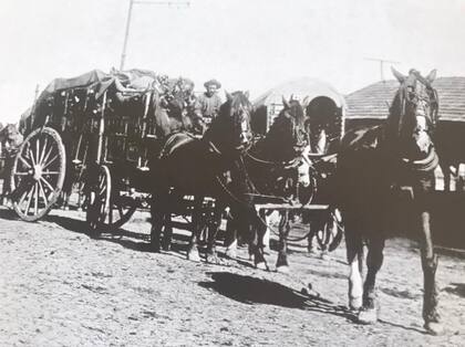 Transporte de animales caídos en el Mercado de Liniers, año 1920 (AGN)