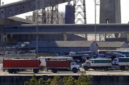 Atentos a este desafío, Humber lanzó el 1º de enero pasado su Programa de Neutralización del 100% de la Huella de CO₂, “con el que se compromete a compensar el total de las emisiones de GEI (gases de efecto invernadero) generadas por los viajes de los clientes que usen esta herramienta”