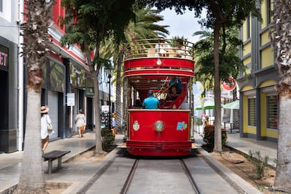 Tranvía turístico sobre la calle Petico Cruz