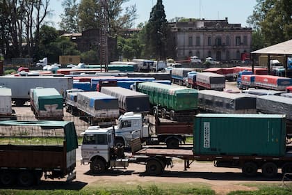 Tras 20 días de paro del gremio de los aceiteros continúan las plantas paradas y los barcos y camiones se siguen amontonando en los puertos del gran Rosario