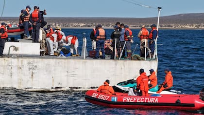 Tras 48 horas de búsqueda, el 18 de febrero encontraron el cuerpo de Sofía Devries