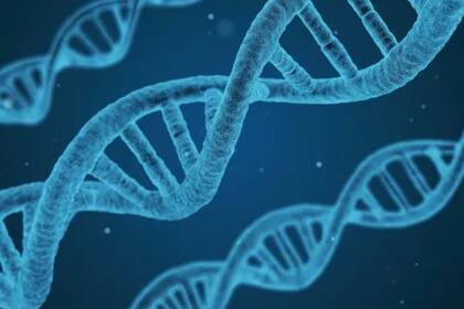 Tras análisis de ADN, expertos forenses confirmaron la identidad del hombre