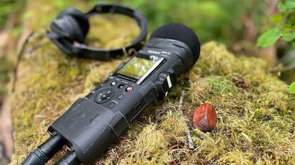 Tras años de buscar, Hempton encontró el que creía era el lugar más silencioso de EE.UU. y lo marcó con una piedra roja