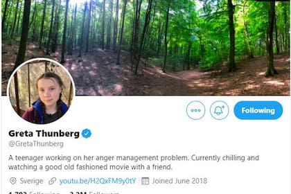 Tras el consejo, Greta cambió su biografía en Twitter