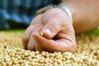 Monsanto desistió de un juicio contra municipio que le impidió poner una planta