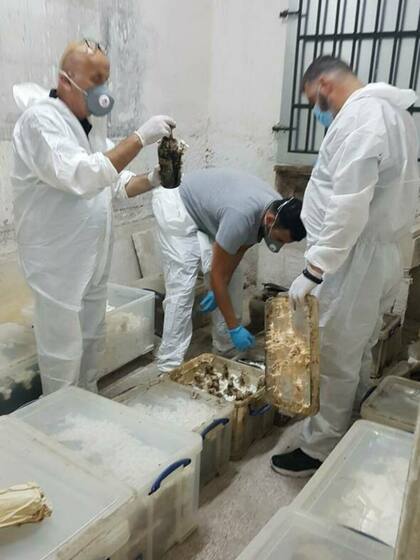 Tras el hallazgo de las botellas, el Ministerio de Cultura griego compartió en redes sociales fotos que reflejan los trabajos de rescate.