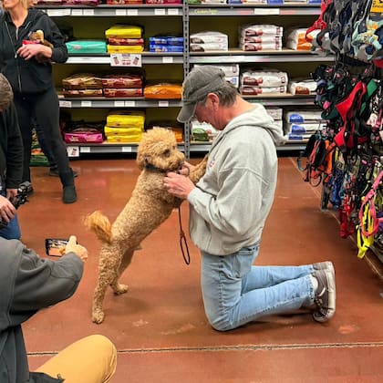 Tras ingresar en el refugio Retriever Rescue of Las Vegas, JetBlue fue de compras y todo el mundo lo mimó