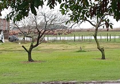 Tras la lluvia habría buen clima hasta el próximo sábado